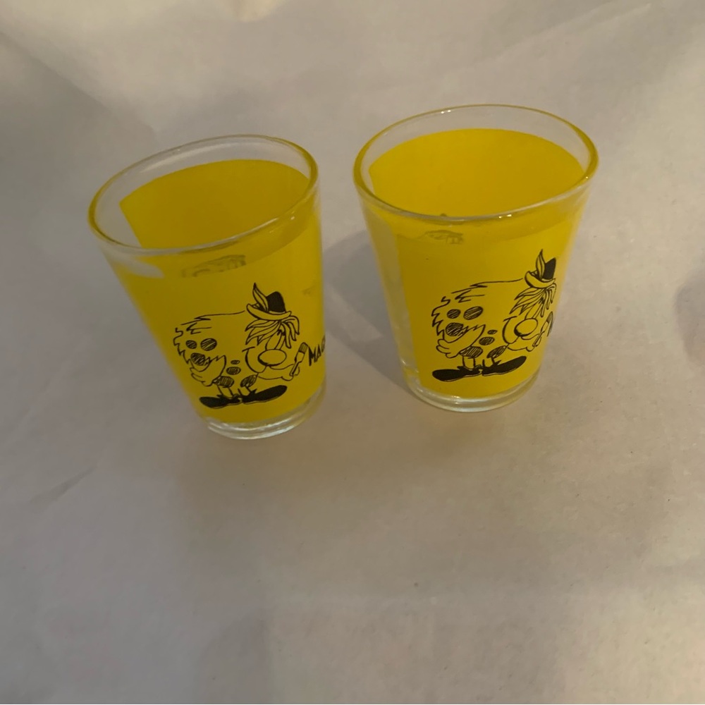 Vintage 1970’s Magic Mountain Shot Glasses